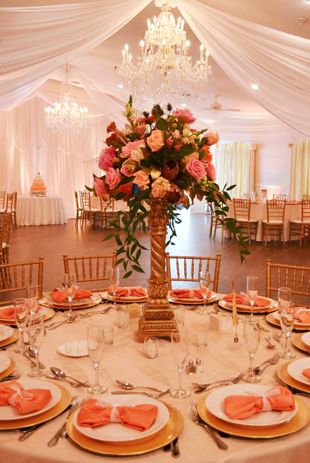 Chiffon treatments and backdrop in white chiffon for an intimate wedding reception at beautiful Highland Manor in Apopka, FL. Photo courtesy Highland Manor Apopka.