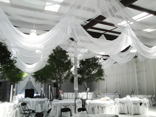 Custom event ceiling treatments in white chiffon for a gorgeous wedding reception at a private barn in Mt. Verde, Florida. Photo and drapes by W Drapings.