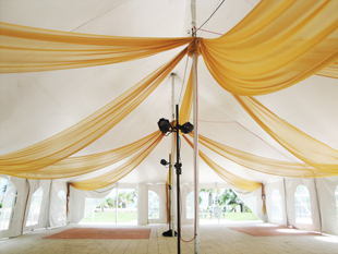 Event draping in gold chiffon for an outdoor tent. Photo and drapes by W Drapings.